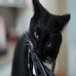 연봉정보