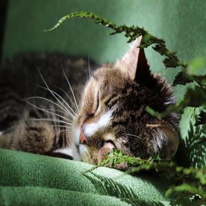 광주남구